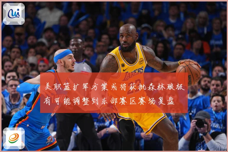 美职篮扩军方案或将获批森林狼极有可能调整到东部赛区赛场复盘