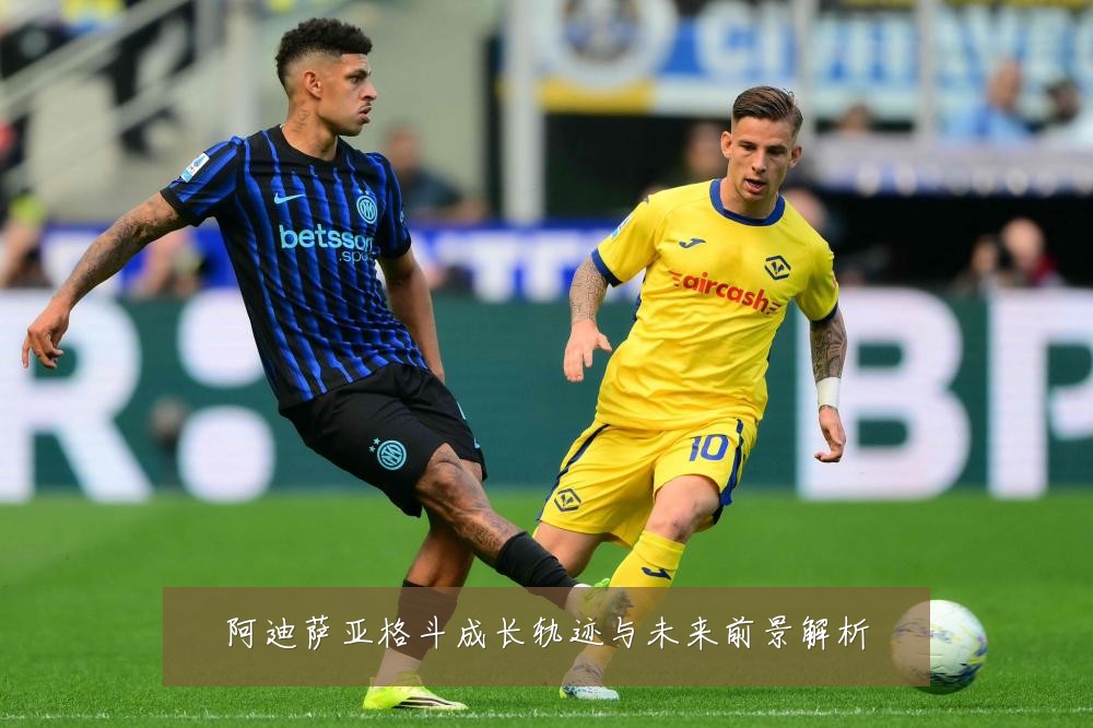 阿迪萨亚格斗成长轨迹与未来前景解析